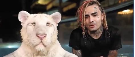 lil pump tiger video